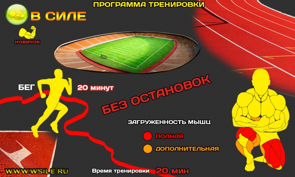 53 тренировочных программы для Начинающих, Продвинутых, Профессионалов и Мастеров