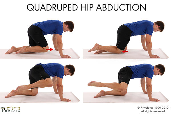 quadruped hip abduction