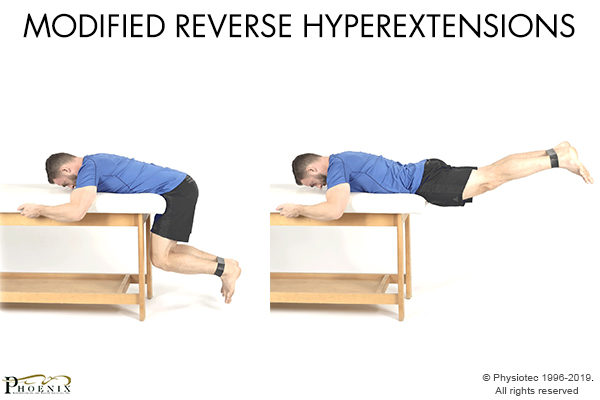 modified reverse hyperextensions