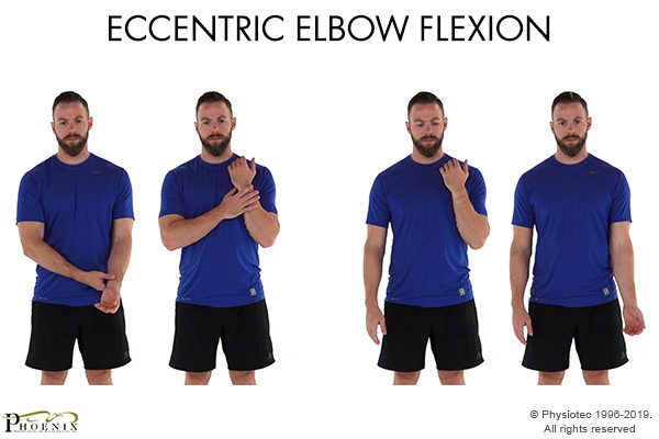 Eccentric Elbow Flexion