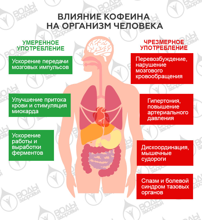 Влияние кофеина на организм проект