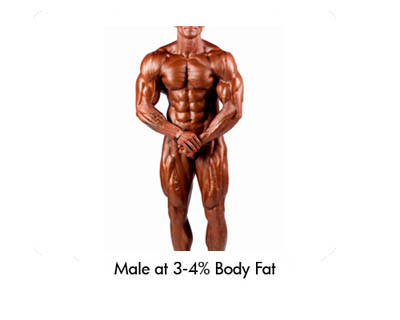 Male at 3-4% Body Fat