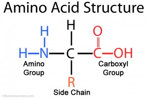 Amino Acid Formula Picture